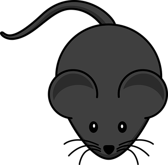 Mouse Png 345 X 340