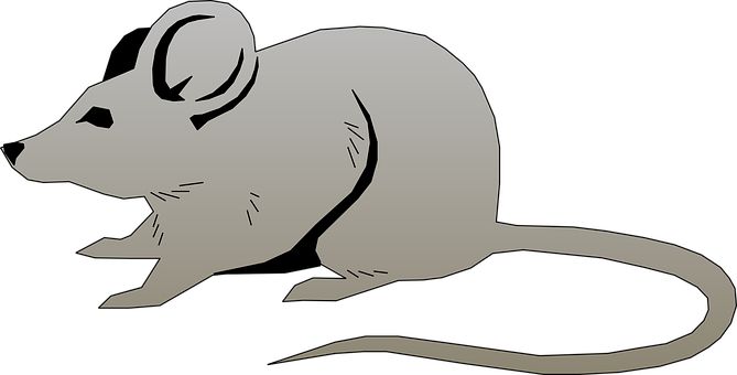 Mouse Png 669 X 340
