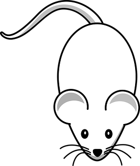 Mouse Png 286 X 340