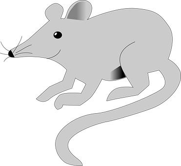 Mouse Png 371 X 340