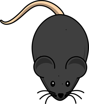 Mouse Png 291 X 340