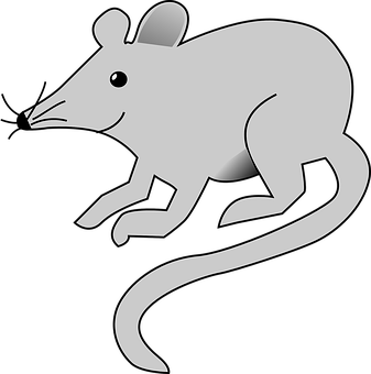 Mouse Png 337 X 340