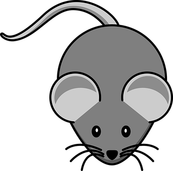 Mouse Png 344 X 340