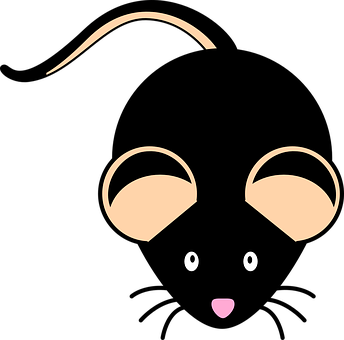 Mouse Png 344 X 340
