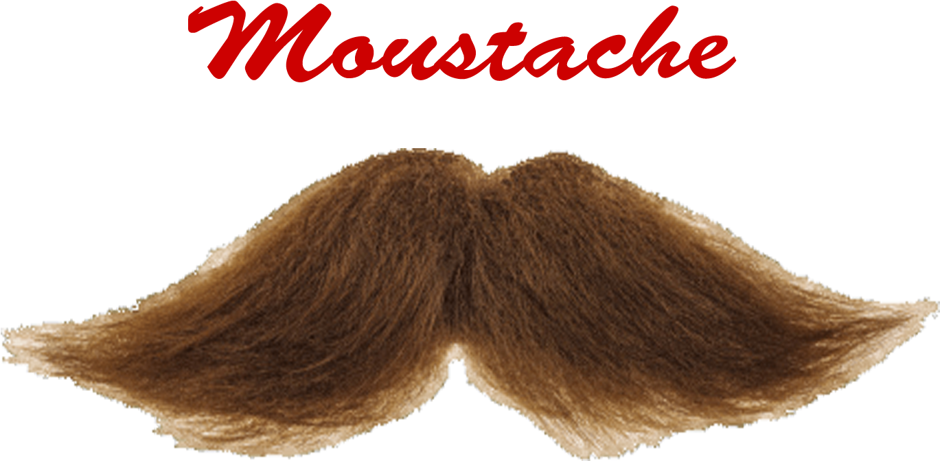 A Fake Mustache With Red Text