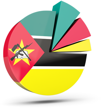 A Pie Chart With A Flag