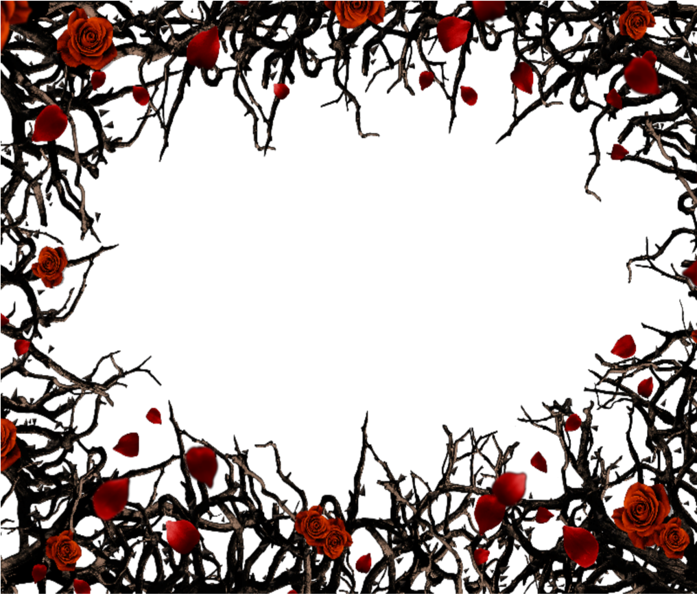 A Frame Of Red Roses And Branches
