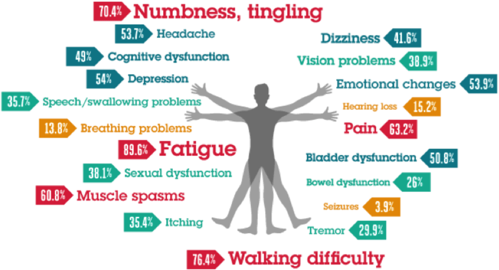 Ms Central Nervous System, Hd Png Download