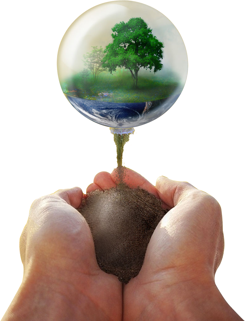 A Person Holding A Balloon With A Tree And A Water Drop