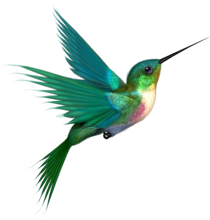 A Green And Blue Hummingbird