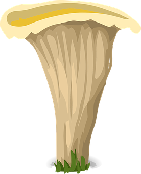 A Mushroom With A Yellow Cap