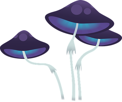 A Group Of Purple Mushrooms