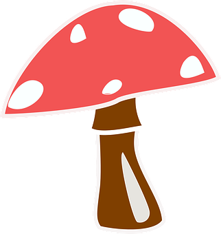 A Red Mushroom With White Spots