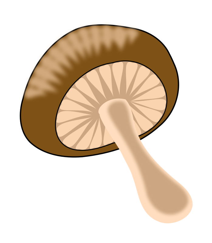 A Mushroom With A White Stem