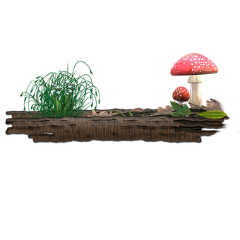 A Mushroom And Grass On A Log