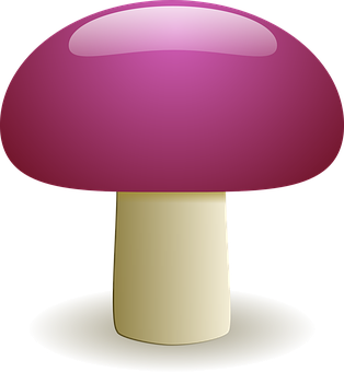 A Pink Mushroom On A Black Background
