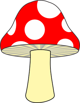 A Red And White Mushroom With White Dots