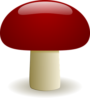 A Red Mushroom On A Black Background