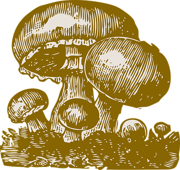 A Drawing Of Mushrooms On A Black Background