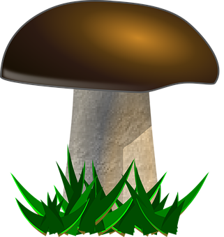 A Mushroom With A Brown Cap And Green Grass