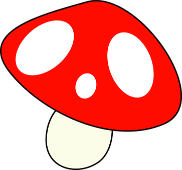 A Red And White Mushroom