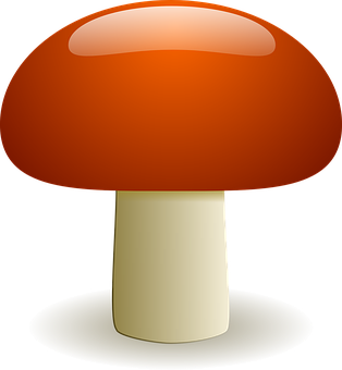 A Red Mushroom With A White Base