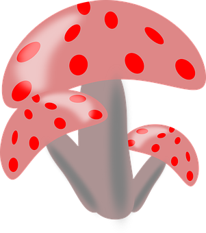 A Pink Mushroom With Red Spots