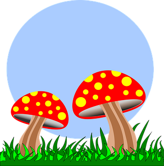A Pair Of Red Mushrooms With Yellow Spots On Grass
