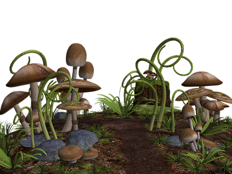 A Group Of Mushrooms And Plants