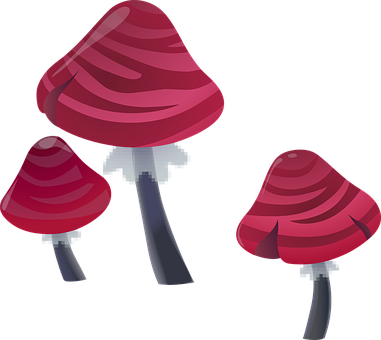 A Group Of Pink Mushrooms
