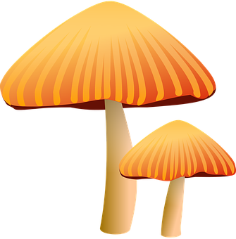 A Pair Of Mushrooms With A Black Background