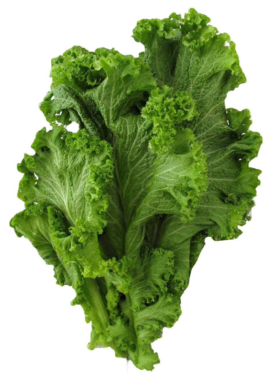 A Green Leafy Vegetable On A Black Background