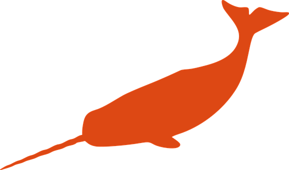 Narwhal Png 578 X 340