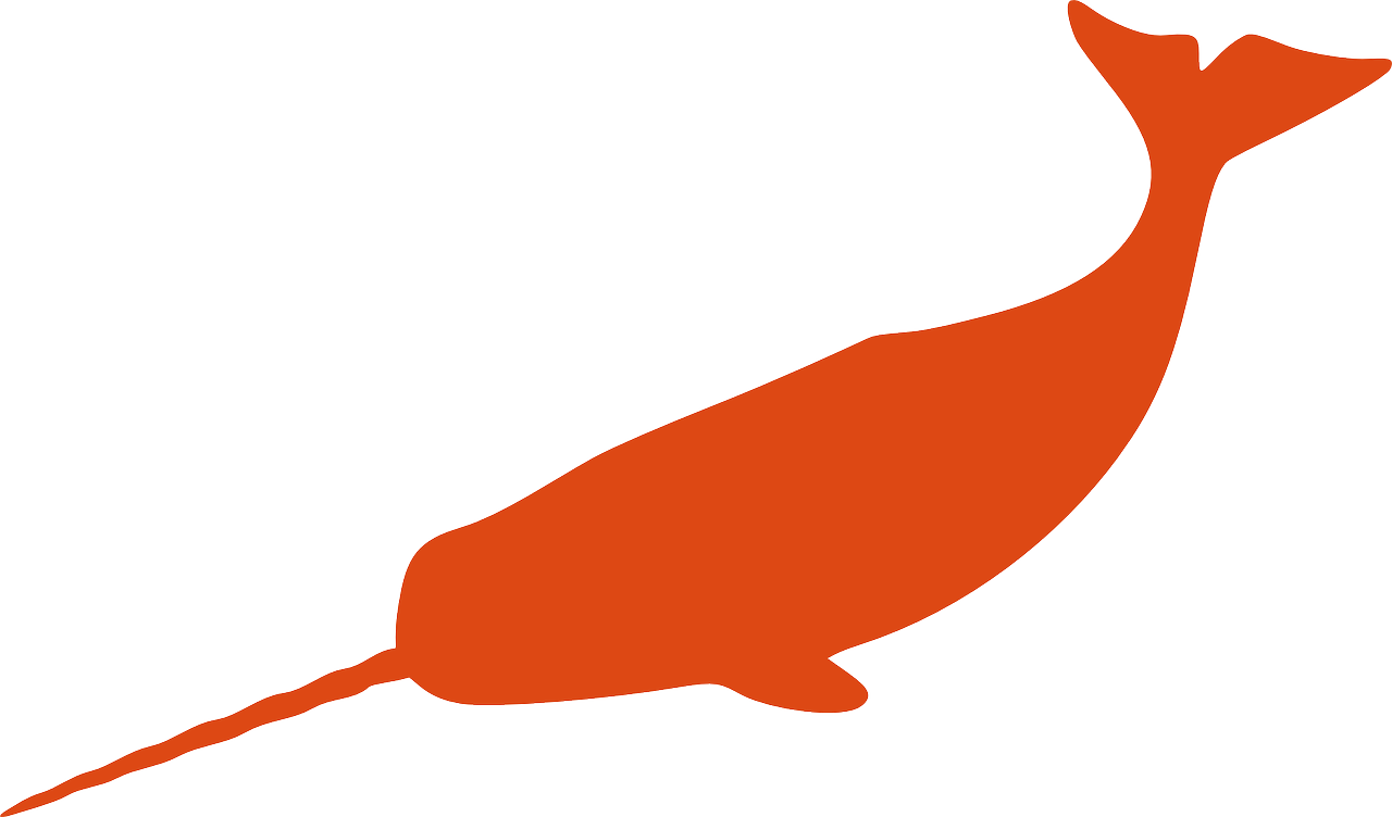 A Orange Whale With A Black Background