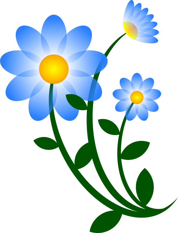 A Blue And Yellow Flowers