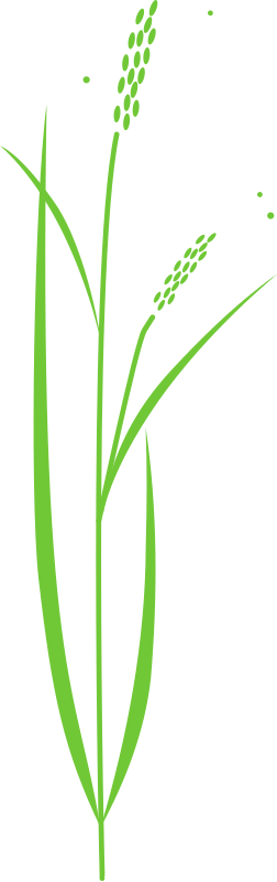 A Green Plant With Long Stems