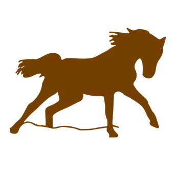 A Brown Horse On A Black Background