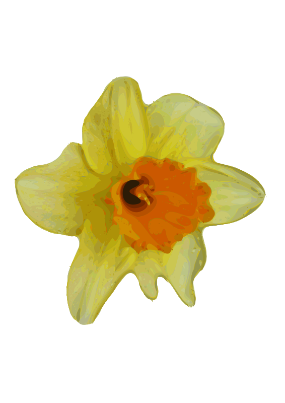 A Yellow And Orange Flower