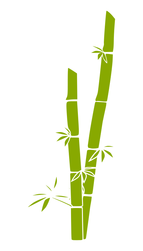 A Green Bamboo Stems With Leaves