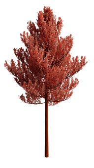 Nature Png 191 X 340