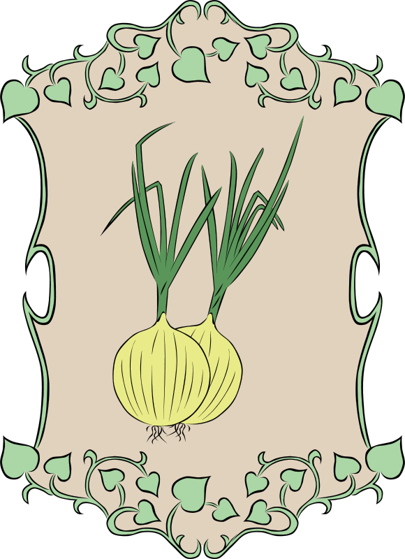 A Drawing Of Onions In A Frame