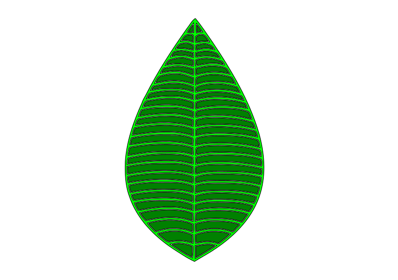 A Green Leaf With Lines On It