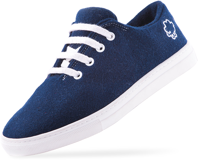 A Blue And White Shoe