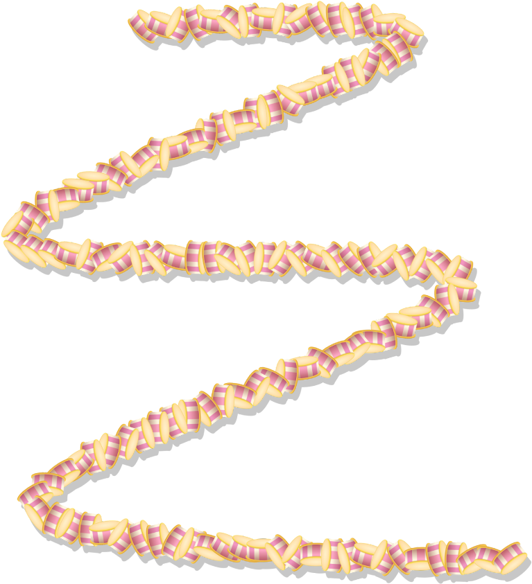 A Spiral Of Candy Canes