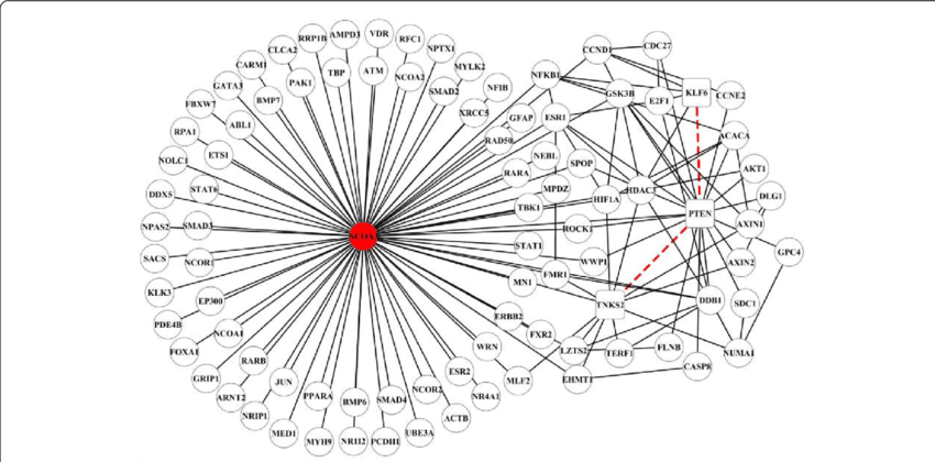 Network Visualization Of Mirscoppi Sub-network Formed - Common Fig