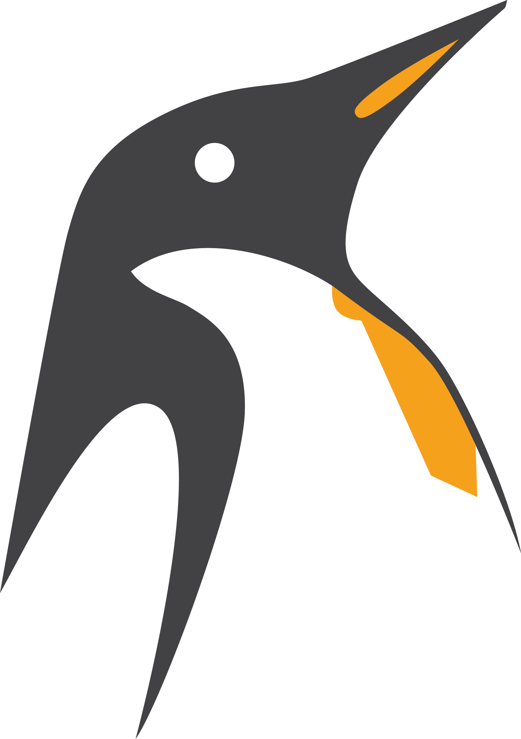 A Black And Grey Bird With Orange Beak