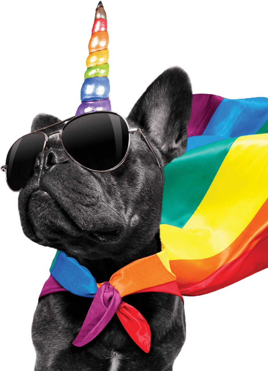 A Dog Wearing A Rainbow Cape And Sunglasses