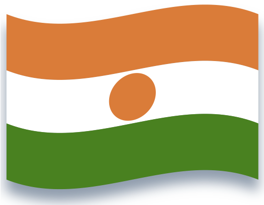 A Flag With Orange White And Green Stripes