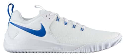 A White And Blue Shoe