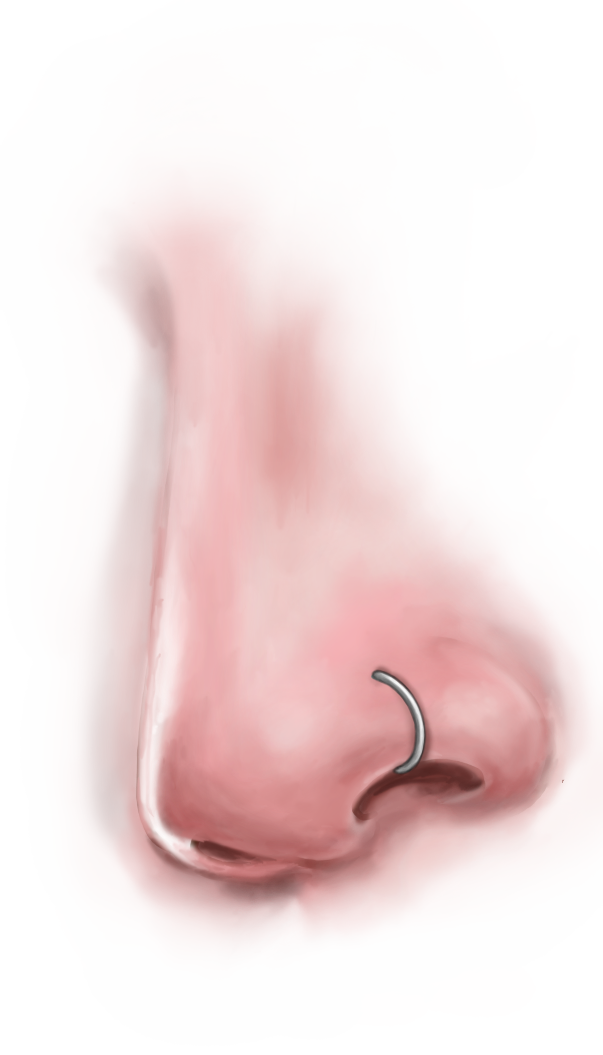A Nose With A Piercing